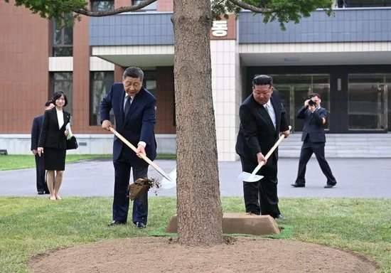 △2026年6月9日，朝鲜劳动党中央干部学校，习近平总书记和金正恩总书记共同种下一株枞树。