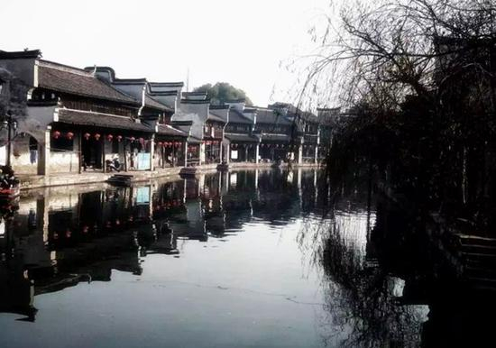 （编者配图，图片来源于网络）