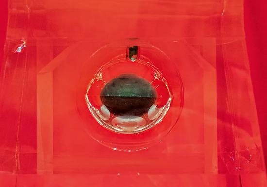 2月22日，嫦娥五号带回的月壤首次公开亮相 王晔摄