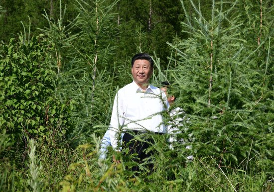 2019年7月15日，习近平总书记在内蒙古自治区赤峰市喀喇沁旗马鞍山林场了解生态文明建设情况。