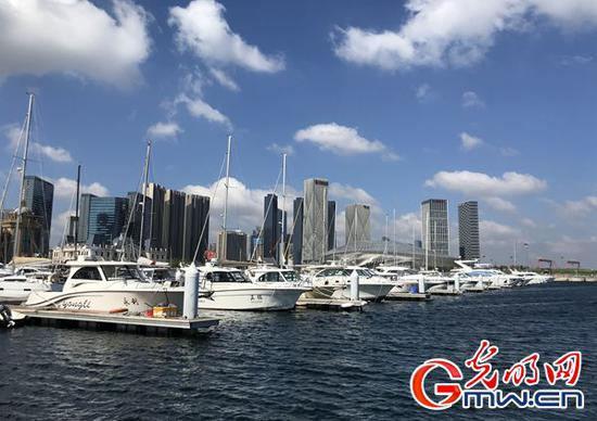 东港商务区岸边，人们可以与成群的海鸟近距离互动，尽赏海边城市美景（李政葳/摄）