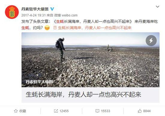 2017年，丹麦海岸生蚝泛滥期间，丹麦驻华大使馆微博曾发布多篇文章，吸引中国游客赴丹麦享用美食（微博截图）