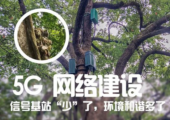 △西湖边上，所有5G基站采取环境伪装，线缆采用了藤蔓设计，在森林中时常能看到松鼠等小动物。