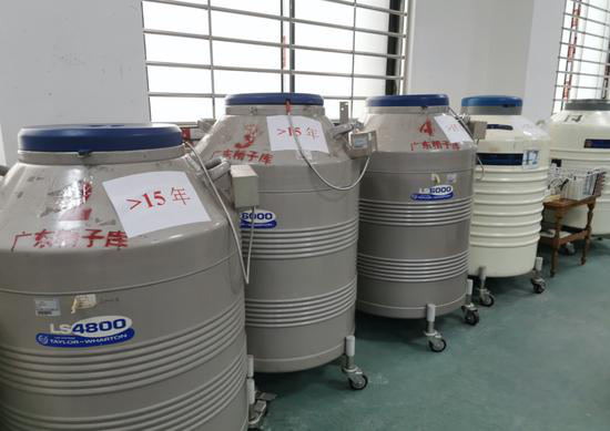  广东省精子库约存贮8万份精子