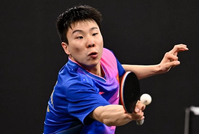 WTT支线赛多哈站男单：徐瑛彬1-3不敌对手，无缘四强