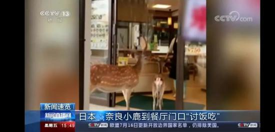 ▲图片来源：央视新闻微博视频截图