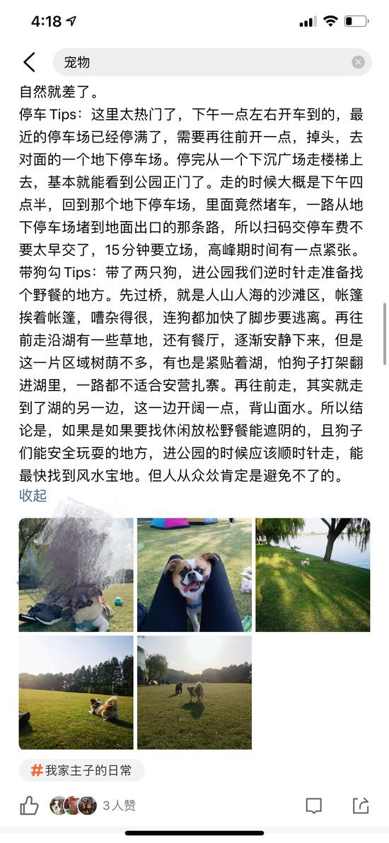 月湖雕塑公园的养犬人评价 点评网站截图