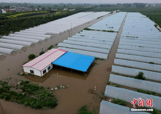 资料图：7月22日，安阳市西于曹村附近被淹的大棚。&nbsp;中新社记者 邹浩 摄
