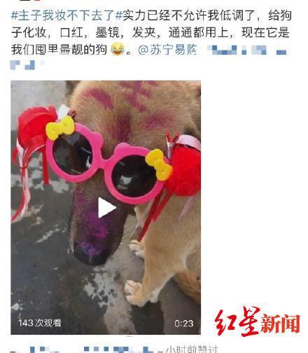 ↑有人为参加活动把狗化了妆