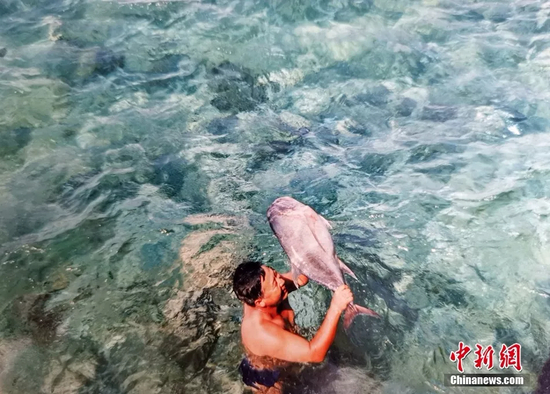  徒手抓鱼改善伙食，是战士们在南沙的一大乐事。骆云飞翻拍