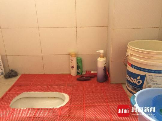 陶女士放蛇的位置