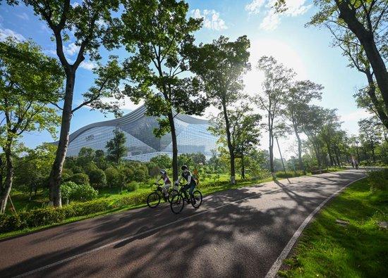  人们在成都高新区桂溪生态公园骑行。