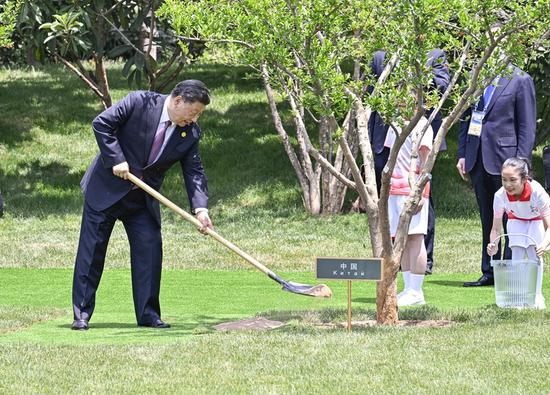 2023年5月19日上午,首届中国-中亚峰会结束后,习近平主席和中亚五国元首共同种下六棵石榴树,既见证中国同中亚千年友好交往,也象征中国同中亚紧密团结合作,更寄托对中国-中亚关系美好未来的期待。新华社记者 殷博古 摄