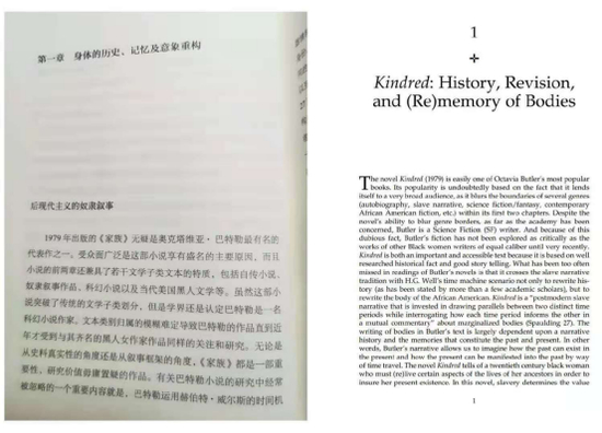 （图说：芈岚《越界性主体》一书与英文专著内容重合部分。）