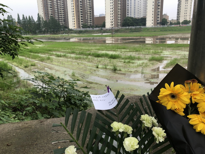  离袁隆平家约1000米处，有湖南杂交水稻研究中心的稻田。附近居民介绍，过去，袁隆平时常来这里看看，有时还是一个人来的。 本文图片&nbsp;澎湃新闻记者 陈绪厚