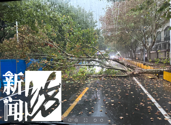  圖片來(lái)源：市民丁先生