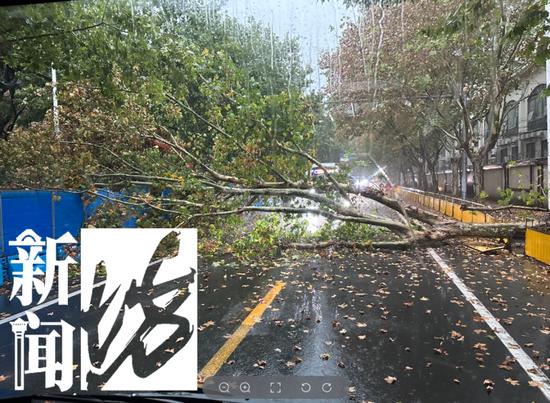  图片来源：市民丁先生