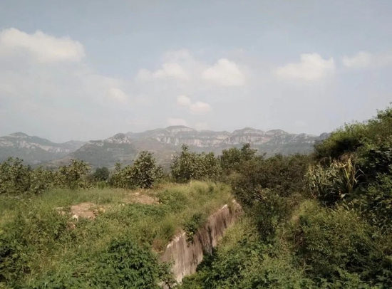  “躺平”时，林振工常常去离家不远的地方爬山。图/受访者提供