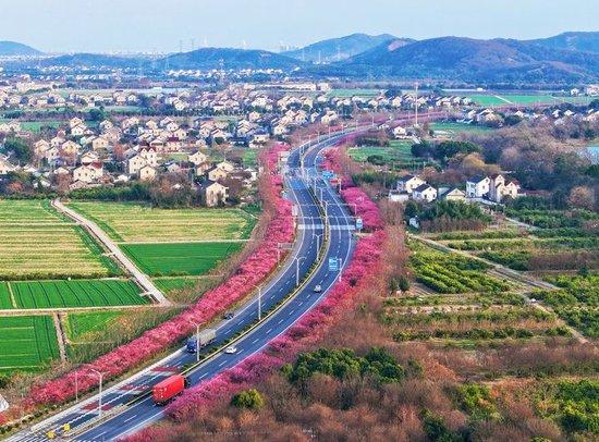  海宁市黄湾镇G524国道的春景。拍友 俞超 杨立超 摄
