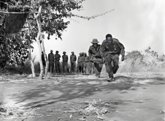 20��������ʮ������з���̹ɣ�������չ簢Ӫ��Ϊ��Ͳ�Τ����սʿ�ṩ������ѵ�����й�פ��Ͳ�Τ��ʹ�ݹ�ͼ��