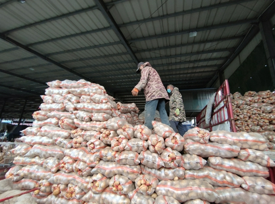  河南万邦国际农产品物流园商户新进的土豆正在卸车。新华社记者 李鹏 摄