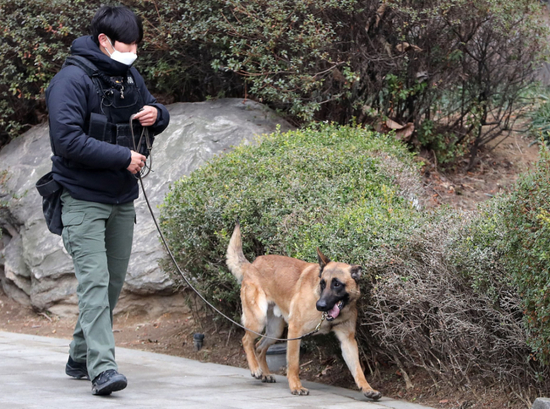 ·警察在训练缉毒犬。