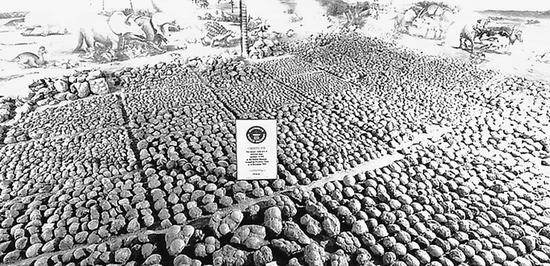 河源恐龙博物馆陈列的恐龙蛋化石。