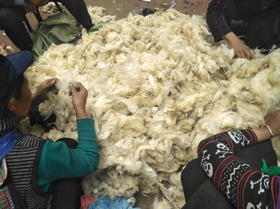  4月5日，恰逢布拖县赶集，嘎子街南路买卖羊毛的人正在挑选羊毛。 本文图片除标注外均为澎湃新闻记者 明鹊 摄