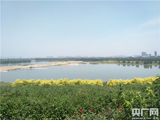 滹沱河新貌 央广网记者王晶 摄