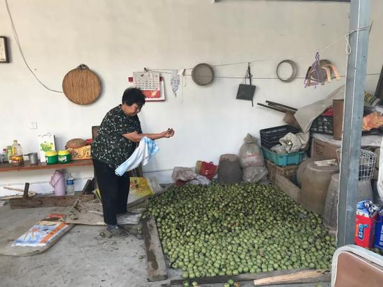  卖完核桃后，张焕枝在自家院子里晾晒核桃。新京报记者王佳慧&nbsp;摄