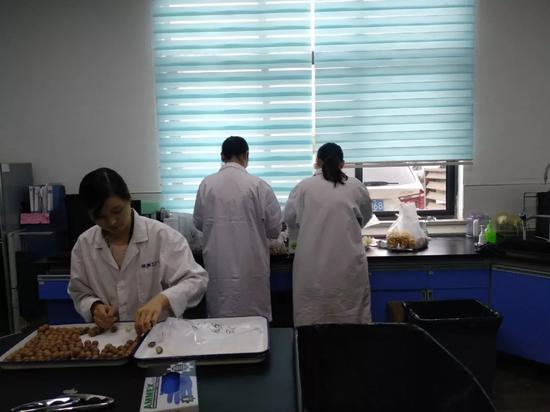 正在工作的试吃员们。新京报记者吴靖 摄