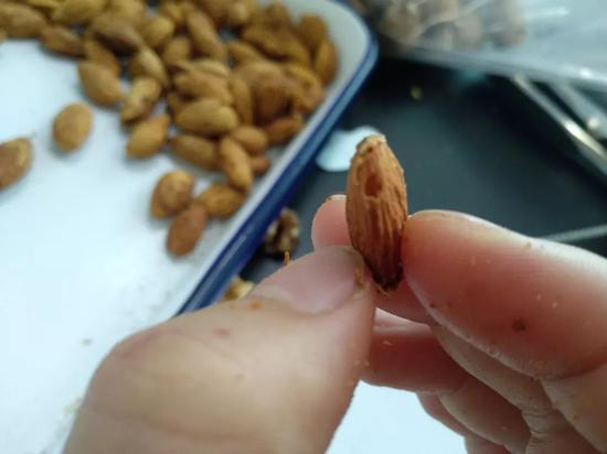 燕子检测出一颗被虫咬过的手剥巴旦木。新京报记者吴靖 摄