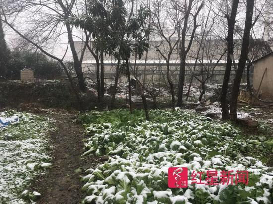 ▲附近村民的一块菜地与江苏圣泰科的厂房仅有数百米之隔&nbsp; &nbsp;&nbsp;图据红星新闻