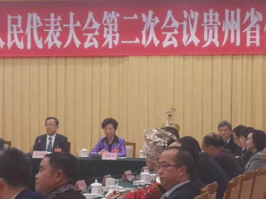 贵州省代表团全体会议举办“开放日”，谌贻琴发言