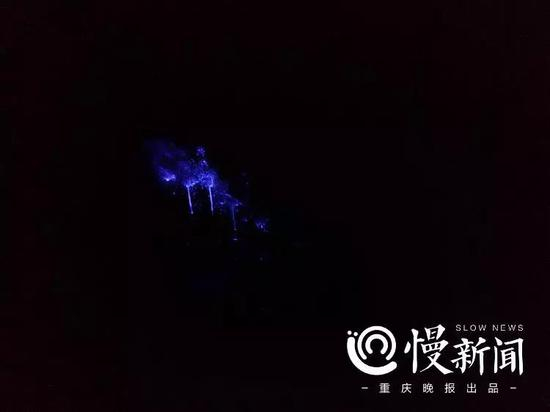 ▲嫌疑人清洗过的血迹，法医喷洒一种试剂，隐血会重新浮现出来，幽幽蓝光是死者的血，也是犯罪的铁证