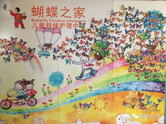 　　▲蝴蝶之家有一面“蝴蝶墙”，纸蝴蝶上贴着每一位入住过的孩子的照片。 &nbsp; &nbsp;&nbsp;新京报记者 周世玲 摄