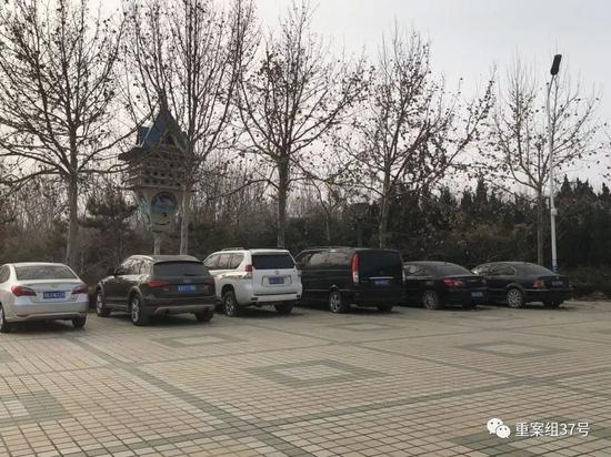 ▲被拍卖的部分车辆 。受访者供图