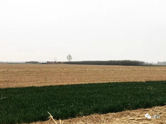  田俊杰的住处在军王庄村边缘