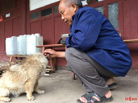 ▲杨家珊父亲与狗为伴 罗敏摄