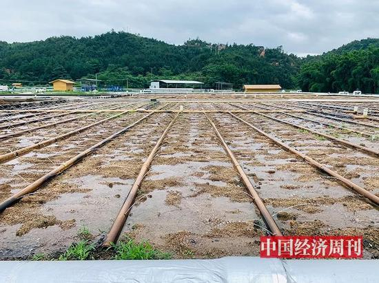 龙南县黄沙乡稀土尾水处理厂（《中国经济周刊》记者&nbsp;李永华|&nbsp;摄）
