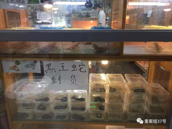 ▲2019年6月19日，北京新官园花鸟鱼虫市场，爬虫商店里展示的爬宠。新京报记者 王贵彬 摄