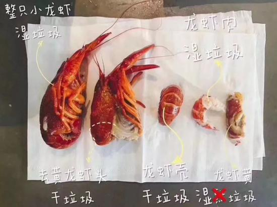 　图自上海发布