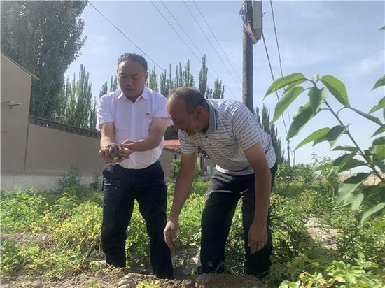 村民门前的小院里种起了洋芋。人民网 宋晨摄
