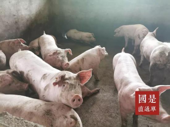  国是直通车&nbsp;张文晖 摄