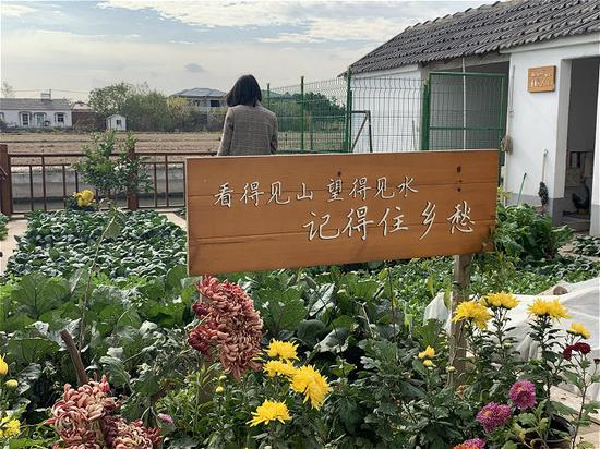  洪家勇家的小院让记者流连忘返（央视网郑芳摄）