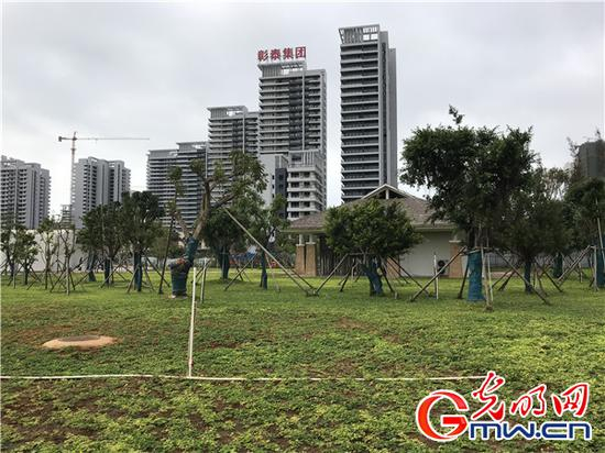冯家江治理后景观