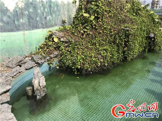  “北海炼化”净化后的工业污水