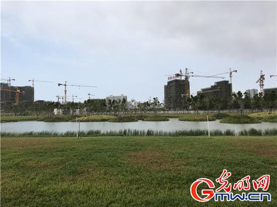 冯家江治理后景观