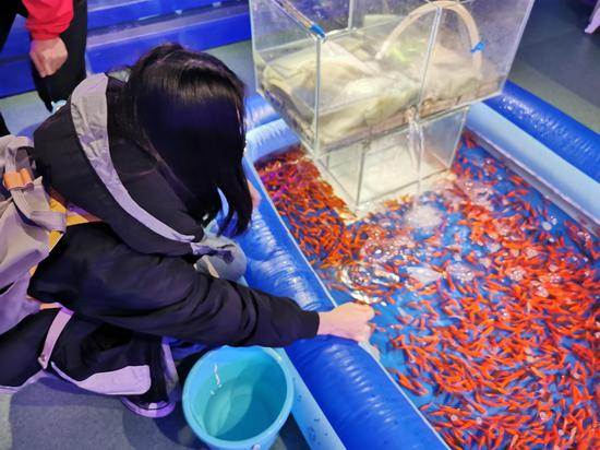 消费者体验室内动物园的捞金鱼项目。摄影/新京报记者&nbsp;马瑾倩