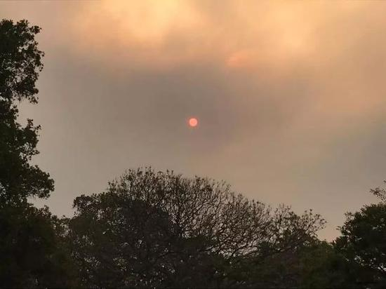 ▲悉尼被雾霾笼罩图片由采访对象提供